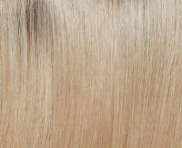 Light blond rooted (R8-25)
